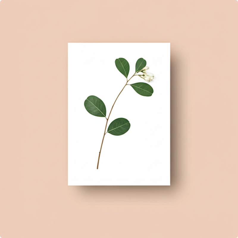 Design 2